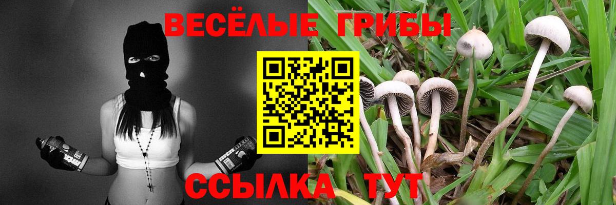 Грязи  Галлюциногенные грибы ЛСД  Вход с VPN 